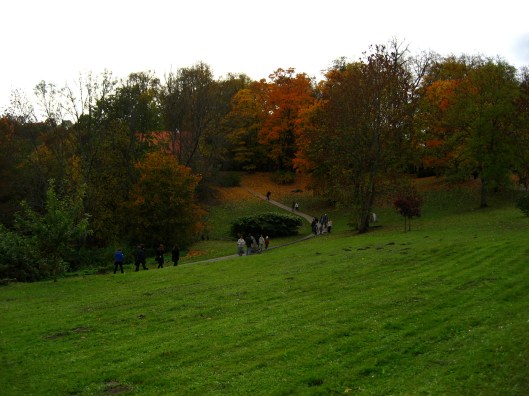 a31