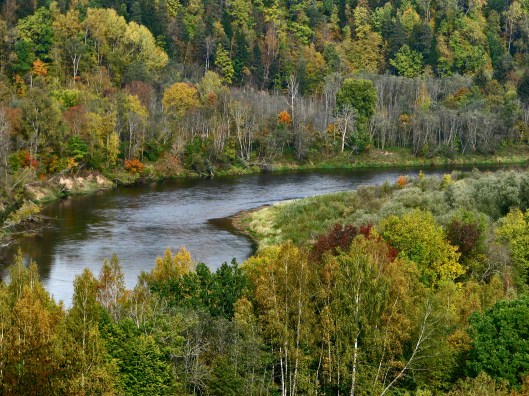gauja