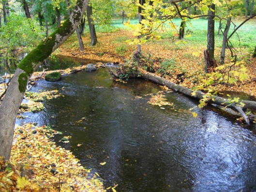 arī Iecava