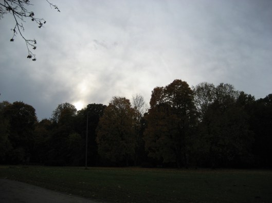saule