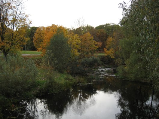 w6